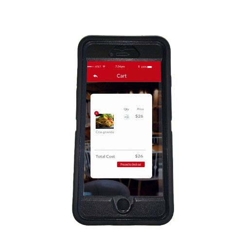 Mobile App Design layout preview